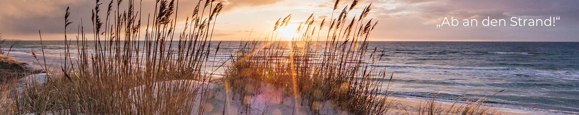 135415_Website_DocMorris_Header_Strand_2000x400_20230328